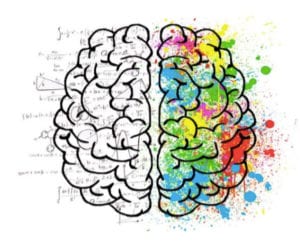 Right side of brain